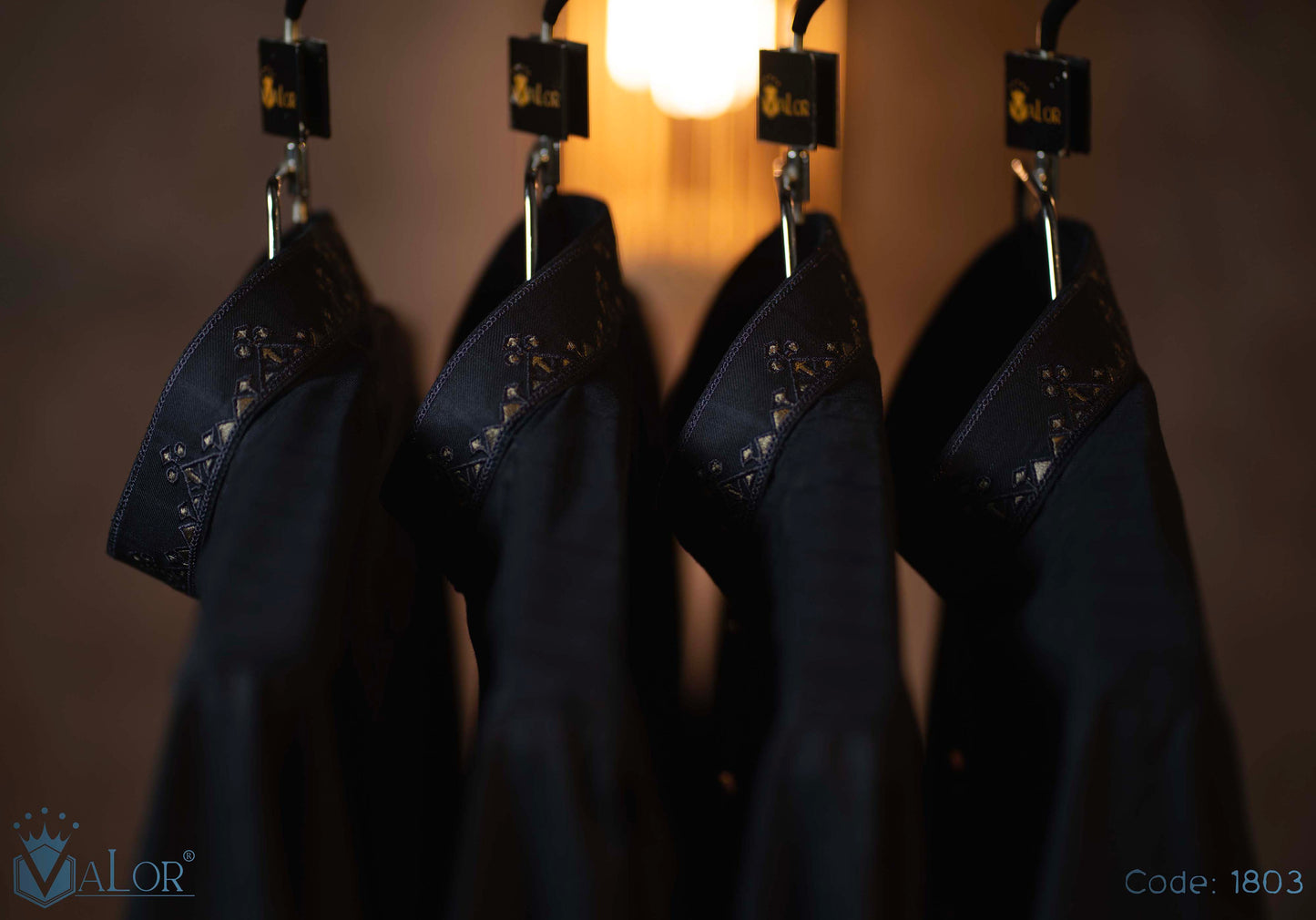 Elegance Panjabi (1803)