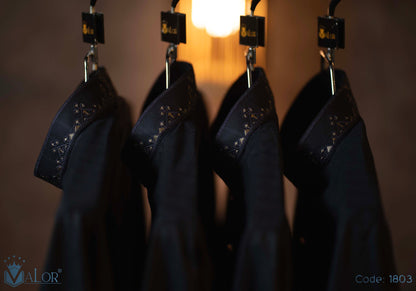 Elegance Panjabi (1803)