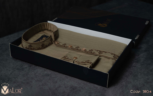 Elegance Panjabi (1804)