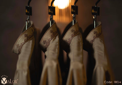 Elegance Panjabi (1804)