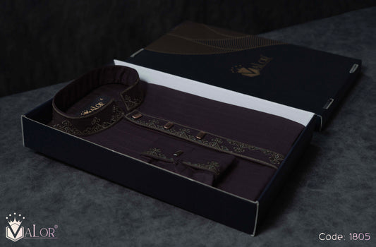 Elegance Panjabi (1805)