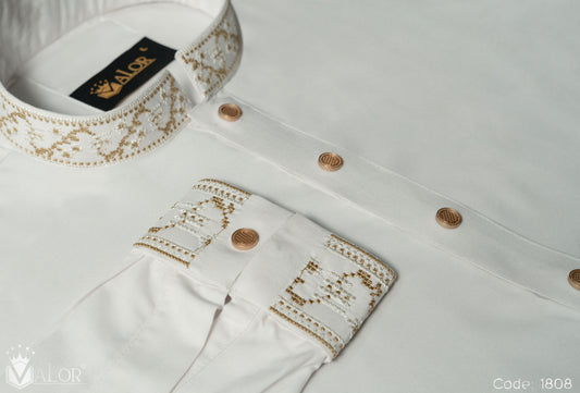 Elegance Panjabi (1808)