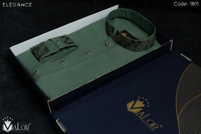 Elegance Panjabi (1811)