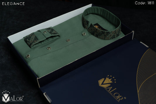 Elegance Panjabi (1811)