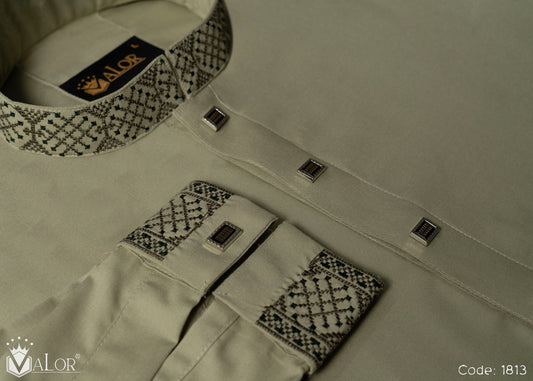 Elegance Panjabi (1813)