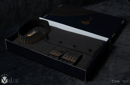 Elegance Panjabi (1816)