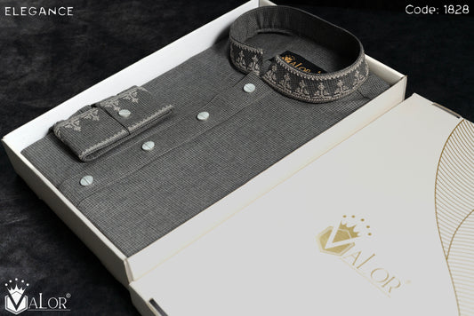 Elegance Panjabi (1828)