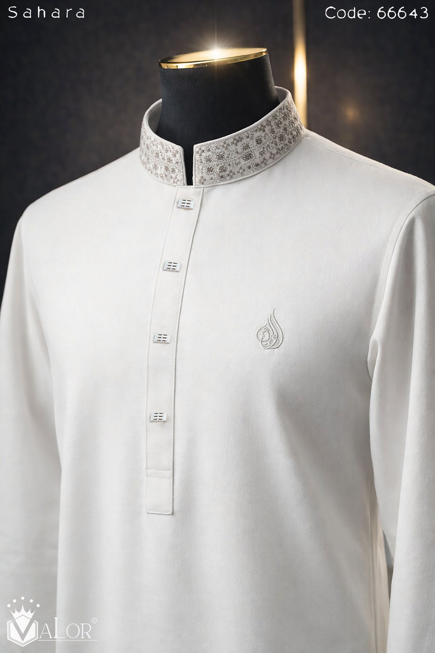 Sahara Panjabi (66643)