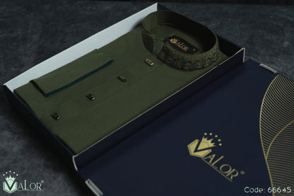 Sahara Panjabi (66645)