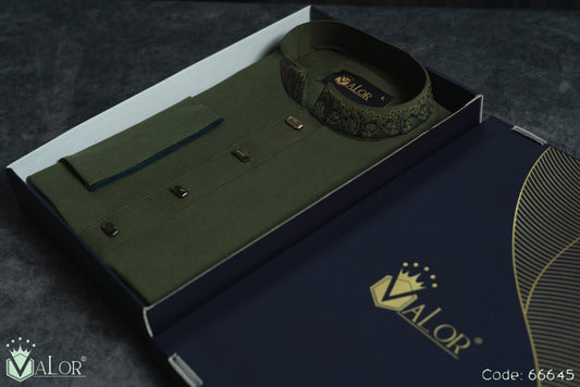 Sahara Panjabi (66645)