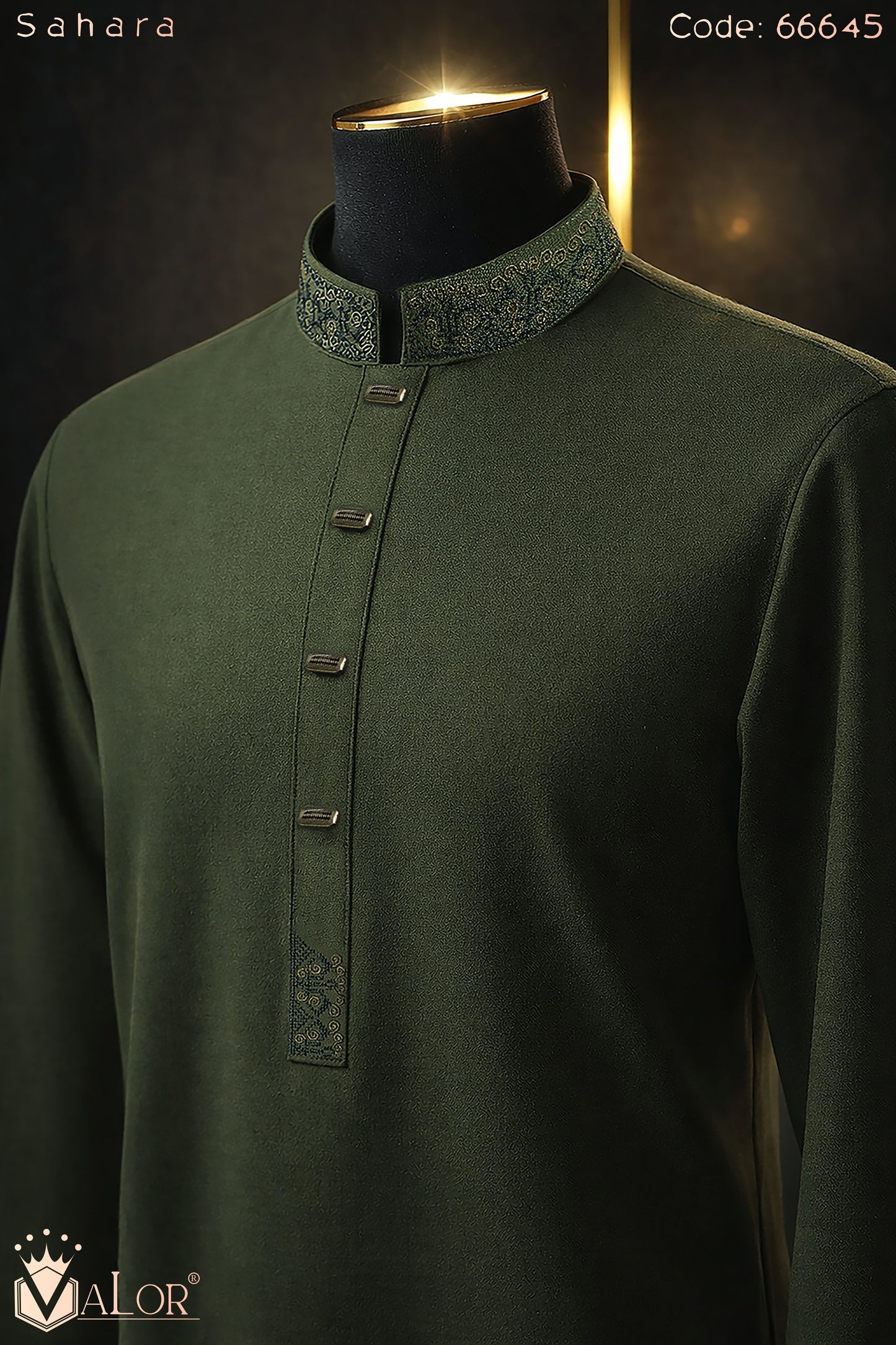 Sahara Panjabi (66645)