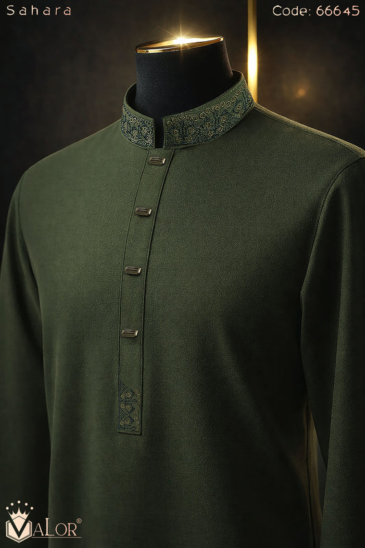 Sahara Panjabi (66645)