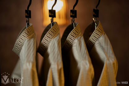 Luxury Panjabi (9933)