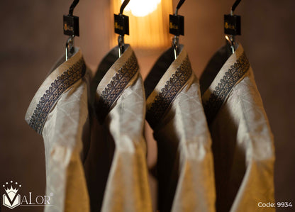 Luxury Panjabi (9934)