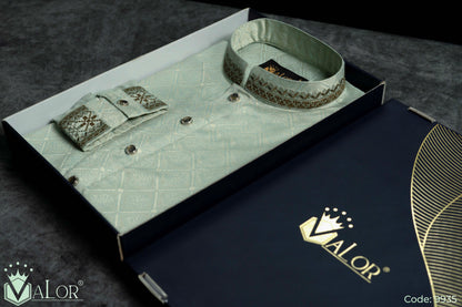 Luxury Panjabi (9935)