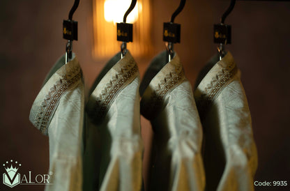 Luxury Panjabi (9935)