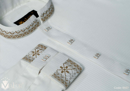 Luxury Panjabi (9937)