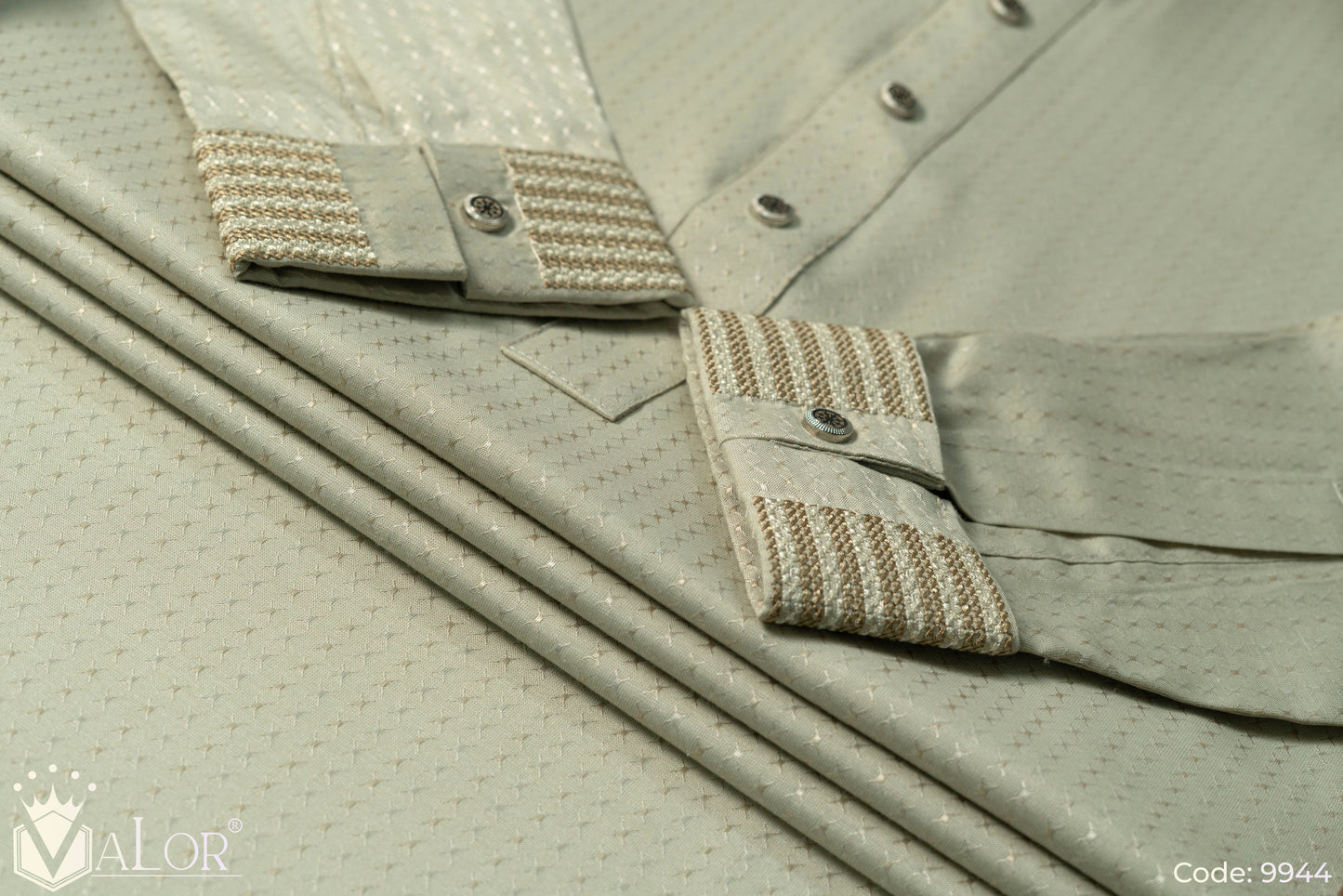 Luxury Panjabi (9944)