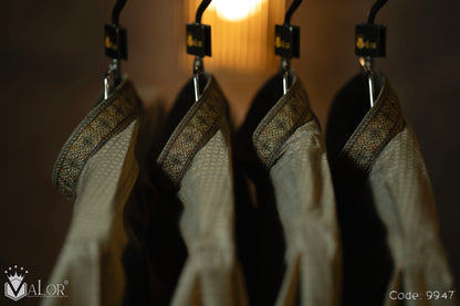 Luxury Panjabi (9947)