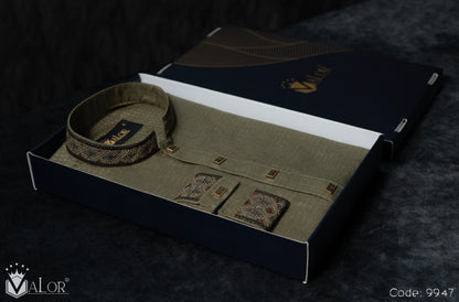 Luxury Panjabi (9947)