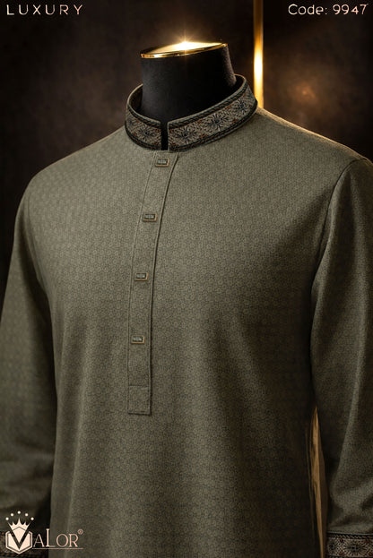 Luxury Panjabi (9947)