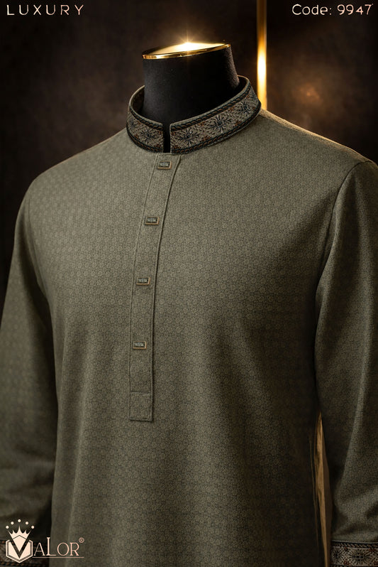 Luxury Panjabi (9947)