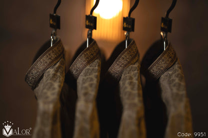 Luxury Panjabi (9951)