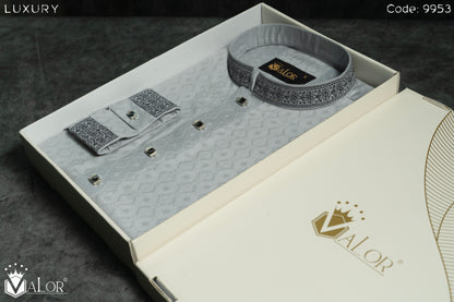 Luxury Panjabi (9953)