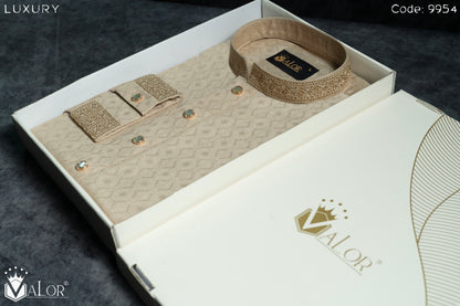 Luxury Panjabi (9954)