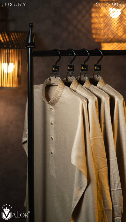 Luxury Panjabi (9954)