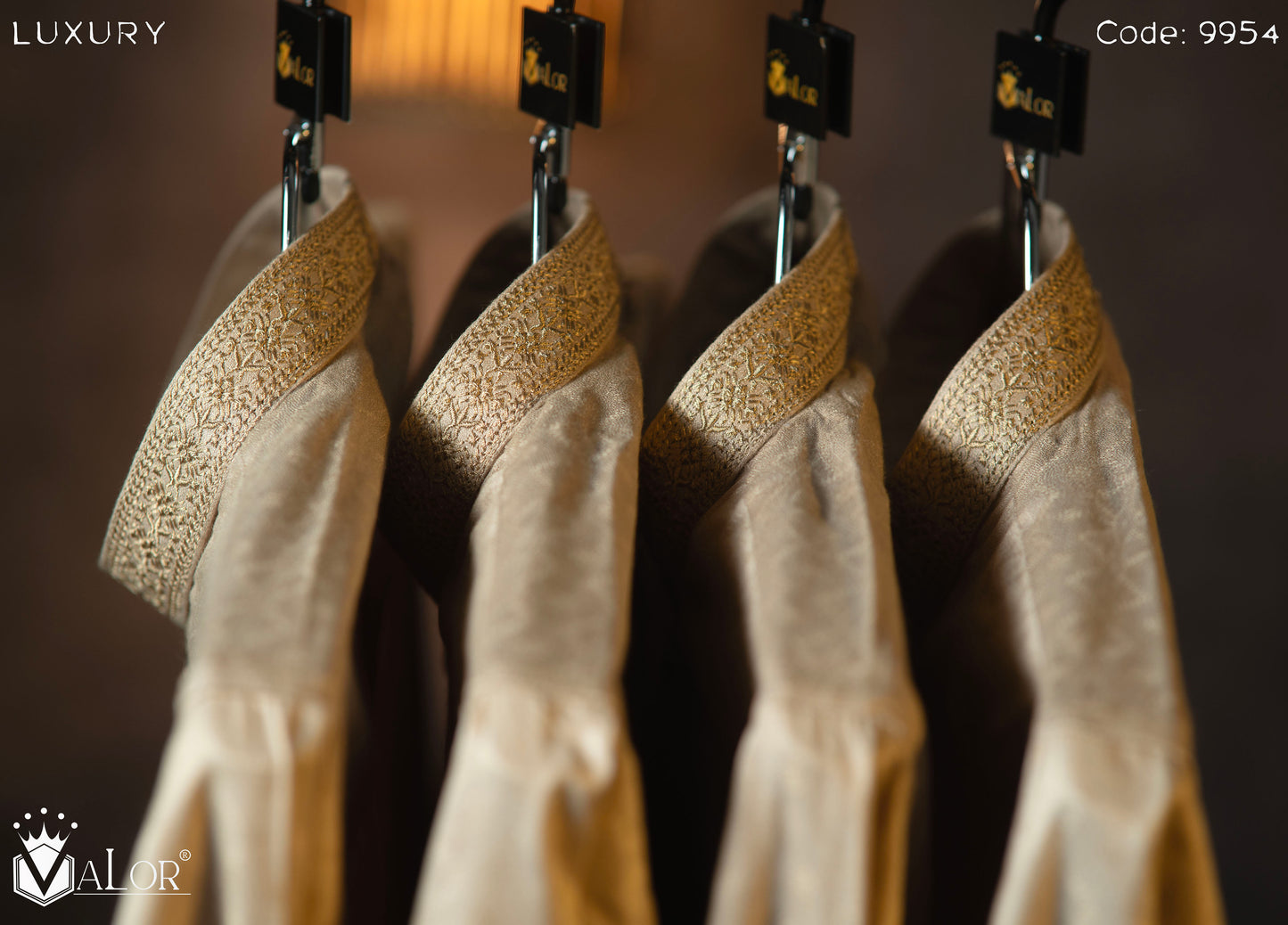 Luxury Panjabi (9954)