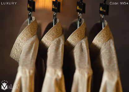 Luxury Panjabi (9954)