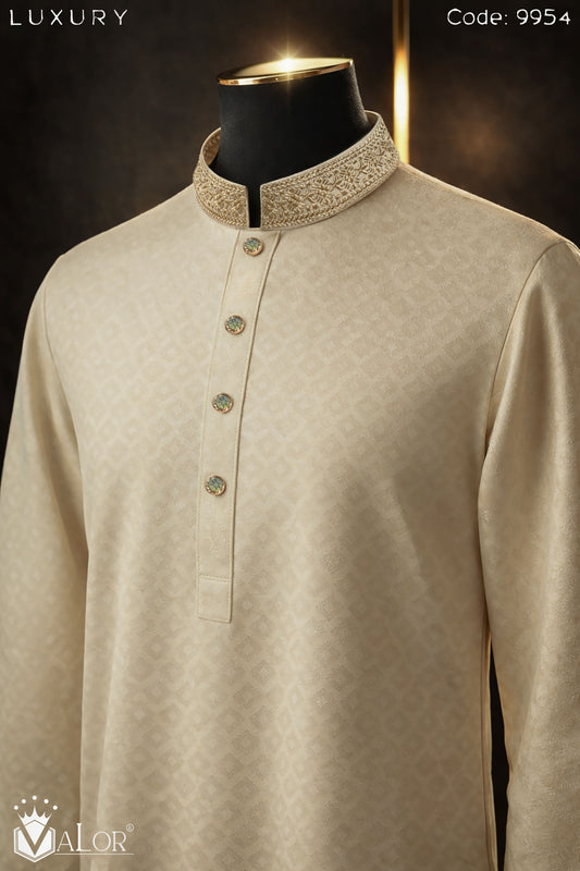 Luxury Panjabi (9954)