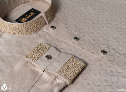 Luxury Panjabi (9955)