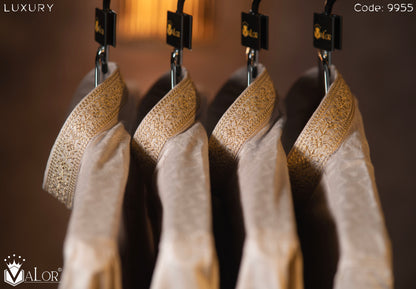 Luxury Panjabi (9955)