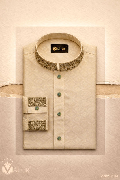 Luxury Panjabi (9941)