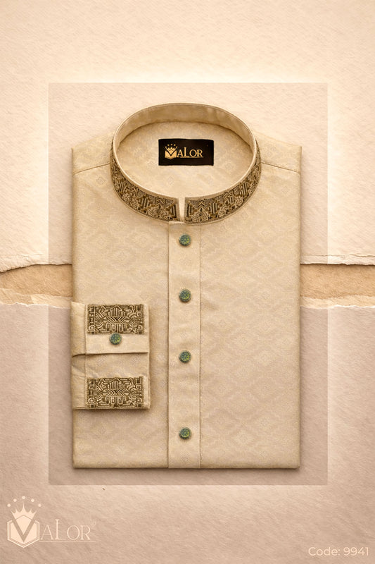 Luxury Panjabi (9941)